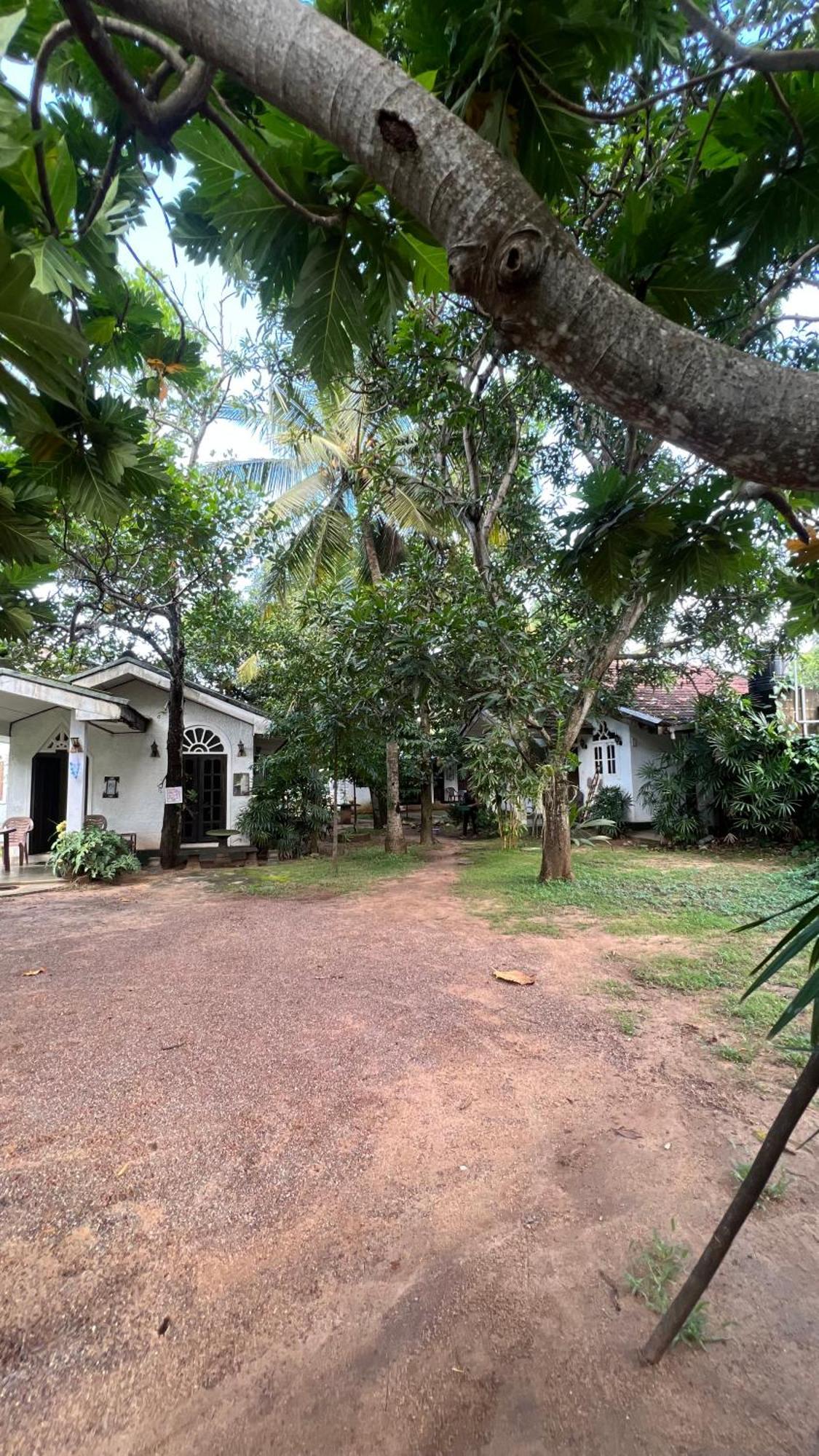 Sylvester Villa Hostel Negombo Exterior photo
